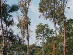 -昆明春城湖畔度假村