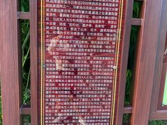 -习家池
