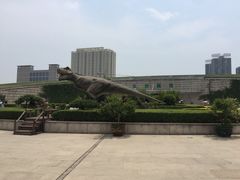 -陕西自然博物馆