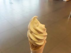 -汉堡王(高坪王府井店)