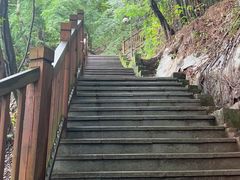-龙泉洞(沙坪坝区)