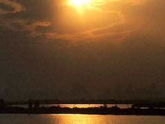 -合肥滨湖国家森林公园