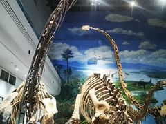 -自贡恐龙博物馆