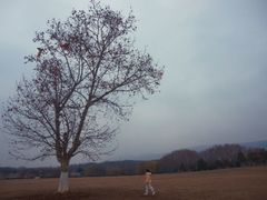 -钟山体育运动公园