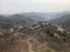 -蟠龙山长城景区