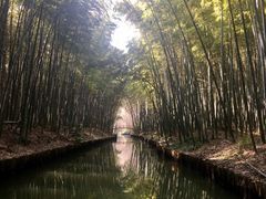 -同里国家湿地公园
