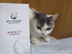 -联合动物医院(光谷诊疗中心)