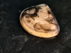 -那琴半岛地质海洋公园