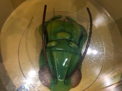 -上海昆虫博物馆