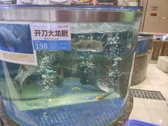 -欢乐海岸美食联盟