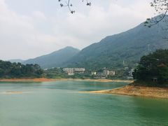 -广州市流溪河国家森林公园