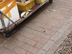 -霞涌市场海鲜摆卖区