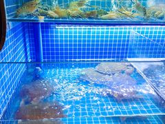 水产区-湘里乡亲甲王二老店
