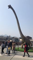 -恐龙探索乐园(磁器口店)