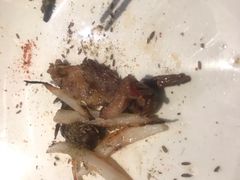 -佰烧海鲜烤肉火锅自助(世茂国际广场店)