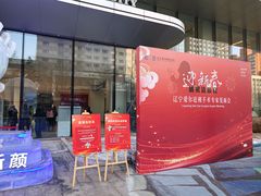 -东北大学附属辽宁爱尔眼科医院