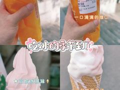 -蜜雪冰城·冰淇淋与茶(长郡中学店)