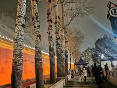 -中山公园音乐堂