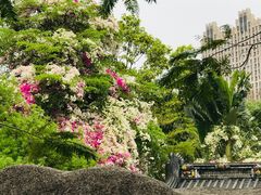 -深圳国际园林花卉博览园