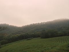 -敬亭山风景名胜区