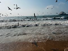 -青岛第二海水浴场