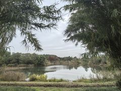 -白鹭湾湿地公园