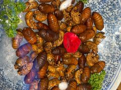 -鸽子窝(宋庄店)