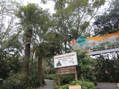 -奥兰多迪士尼动物王国乐园