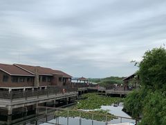 -新木器时代餐厅(太湖新天地店)