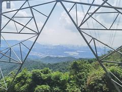 -阳台山森林公园