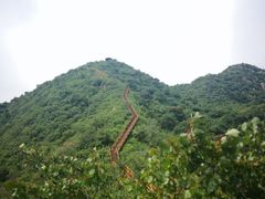 -大岭沟猕猴桃谷风景区