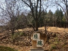 -北京西山国家森林公园