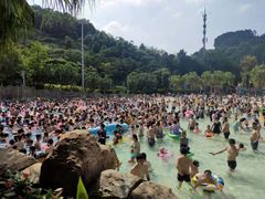 -重庆海昌加勒比海水世界