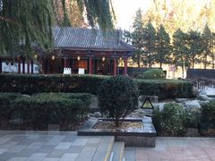 -咖啡CHA自助餐厅(香格里拉饭店)