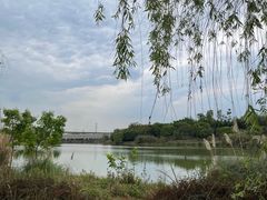 -白鹭湾湿地公园