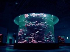 -多彩贵州城极地海洋世界