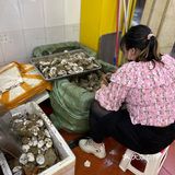 长沙| 镇店之宝 清蒸生蚝