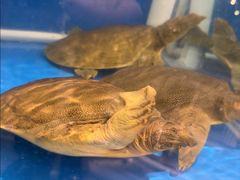 -彭城味道.地道徐州味(怡海花园店)