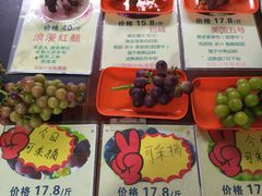 -马陆小张葡萄园农家乐