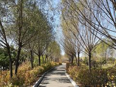 -呼兰河口湿地公园