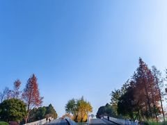 -贡湖湾湿地公园