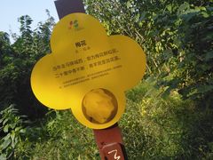 -三圣花乡旅游区