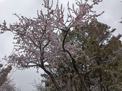-兰山公园