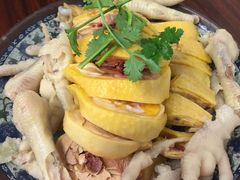 -九斤黄三黄鸡专卖店