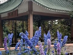 -荔湾湖公园
