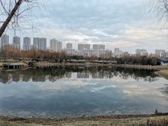 -贡湖湾湿地公园