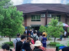 -广东惠东海龟国家级自然保护区