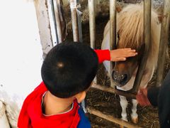 -月河湾马术俱乐部(朝阳店)