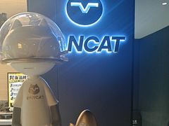 -梵猫·新养生(鹭江大同店)