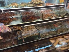 鲤鱼门海鲜街-鲤鱼门海鲜街